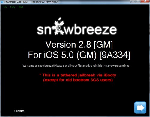 snow1